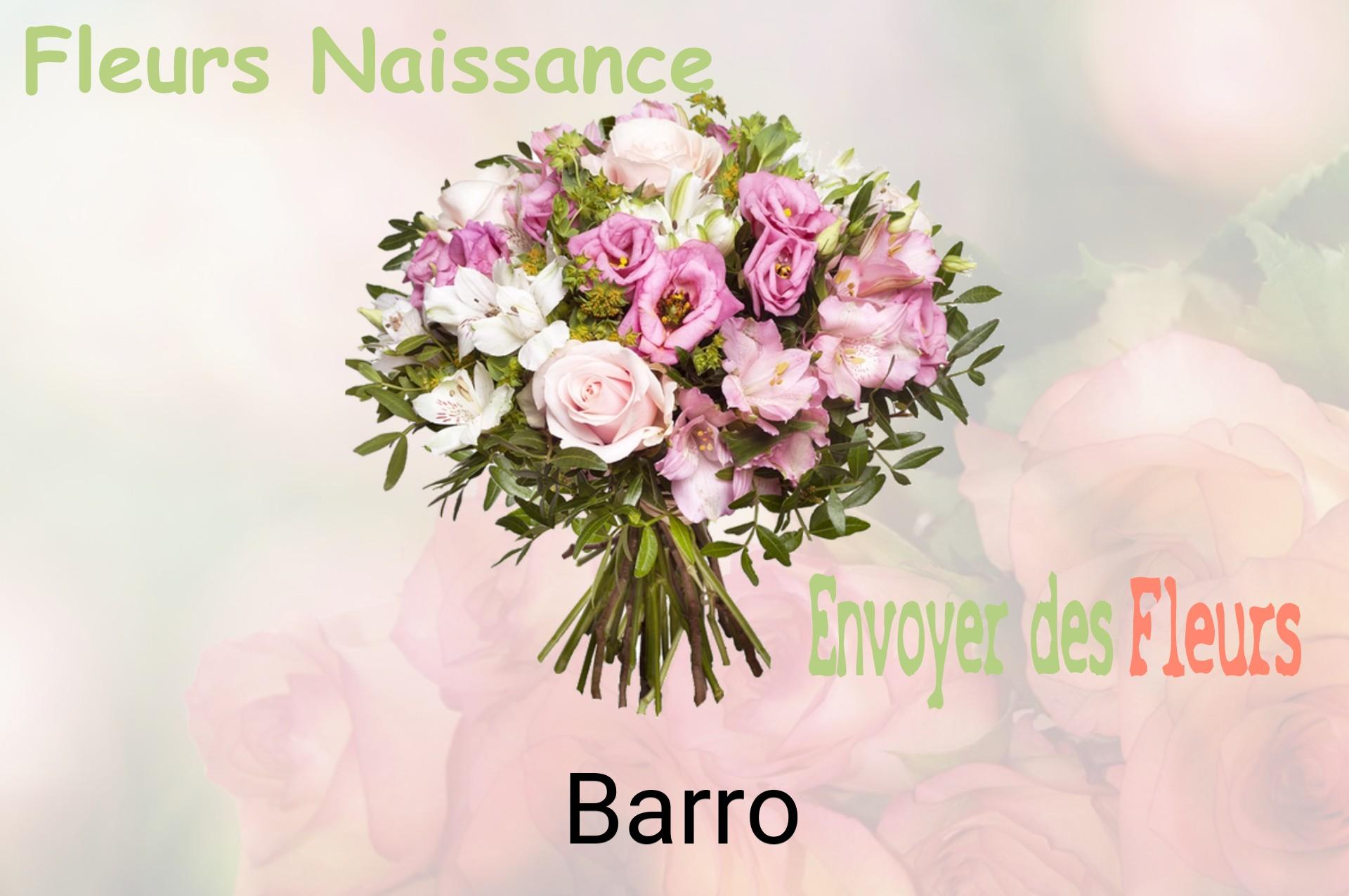 Bouquet de fleurs de naissance livré à Barro